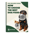 How To Choose The Best Dog Food