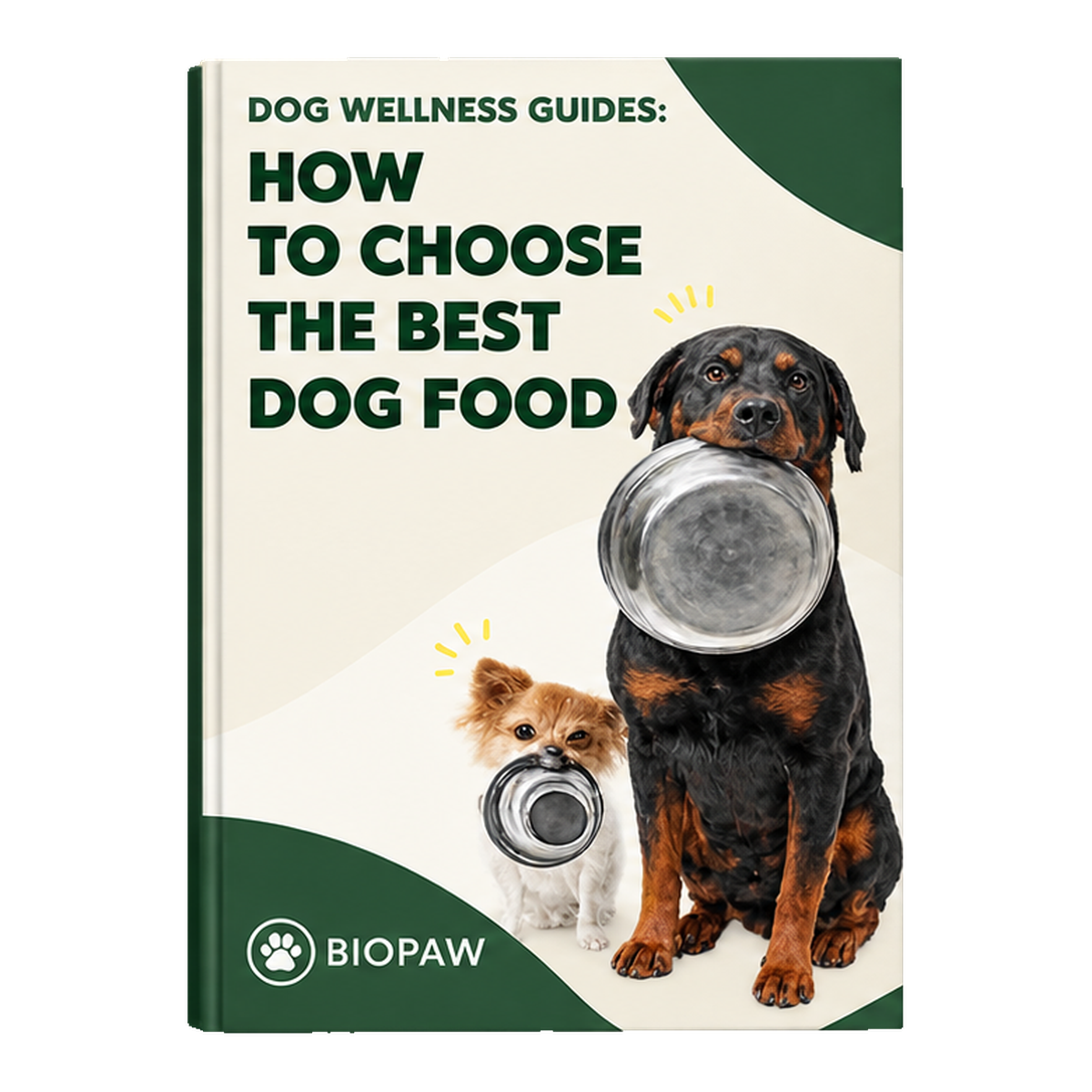 How To Choose The Best Dog Food