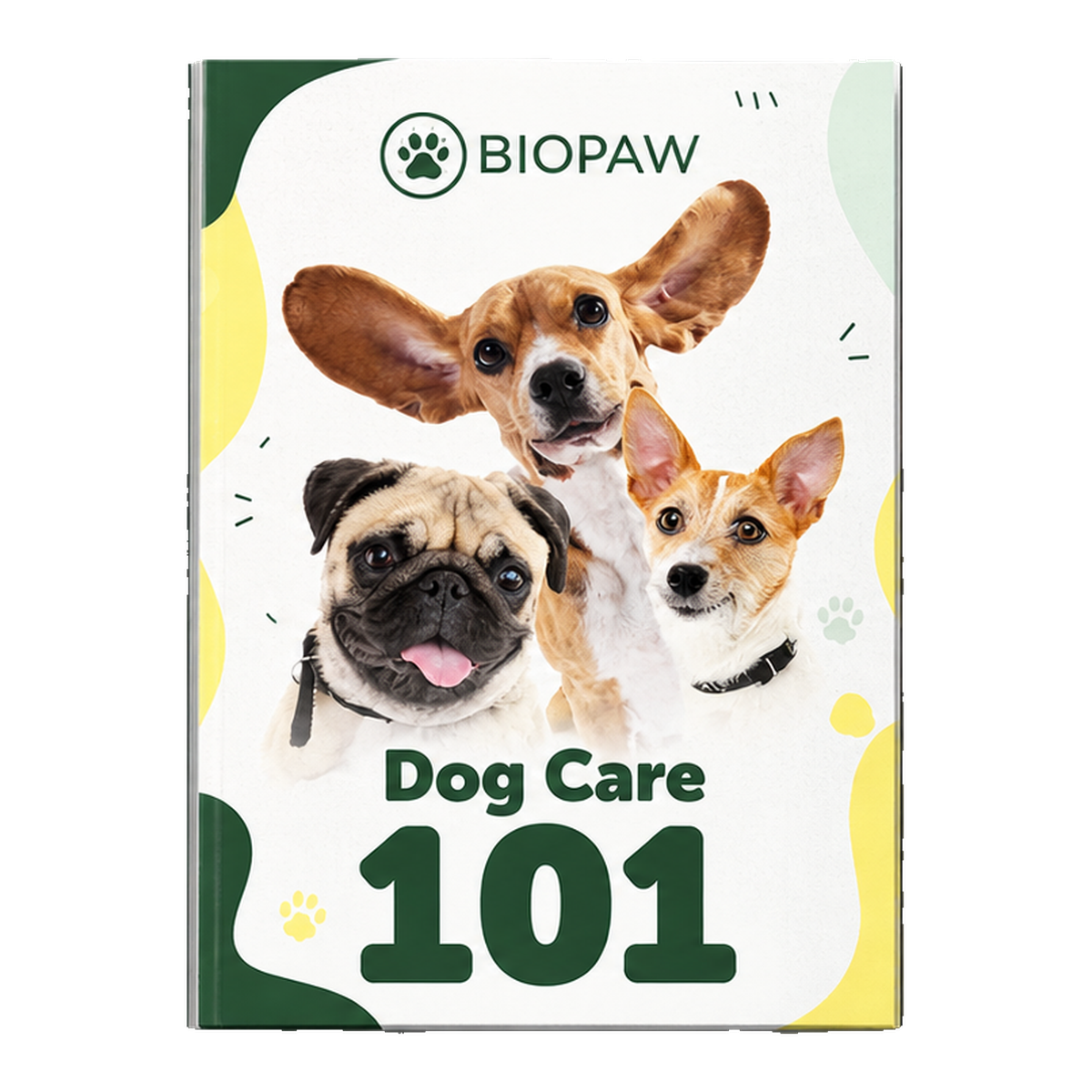 Dog Care 101