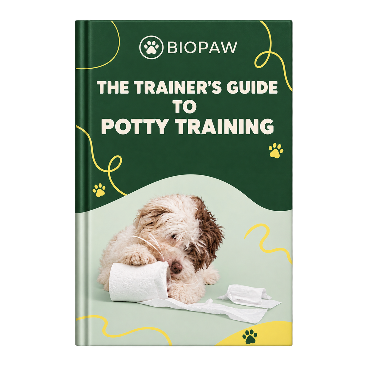 The Trainer's Guide To Potty Training
